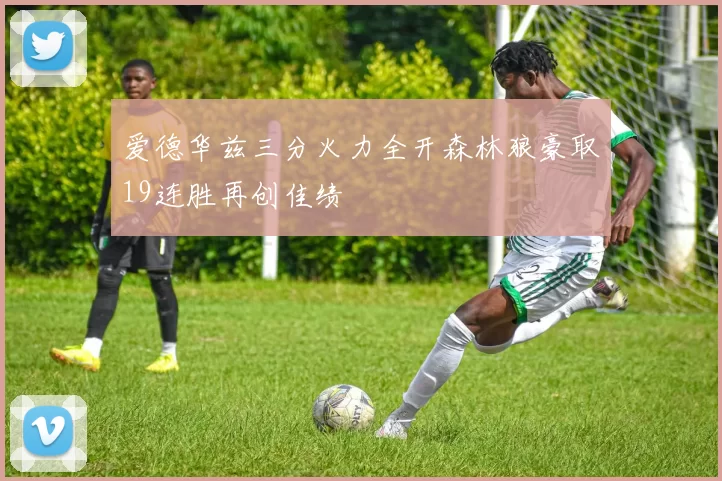 爱德华兹三分火力全开森林狼豪取19连胜再创佳绩