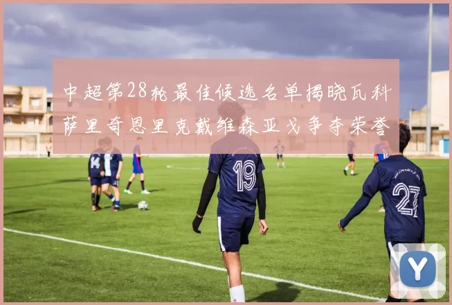 中超第28轮最佳候选名单揭晓瓦科萨里奇恩里克戴维森亚戈争夺荣誉